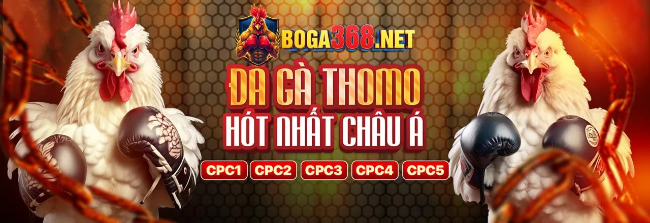 Nền tảng cá cược trực tuyến 88e Đăng Ký